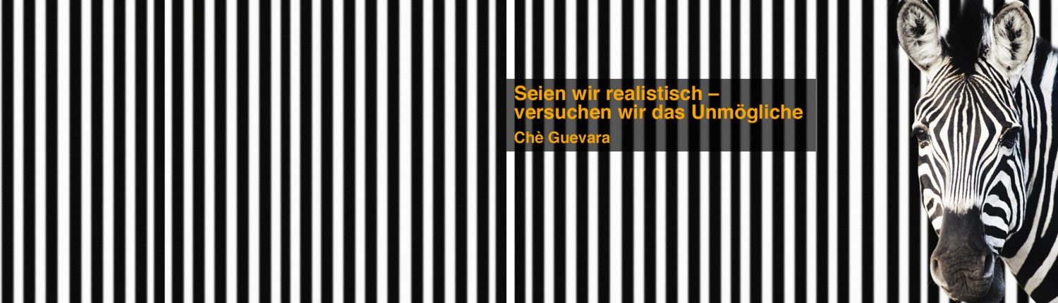 allegriadesign-marketing-zebra-fb